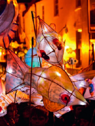 Light Parade